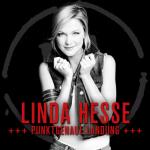 17-02-2013 - sperber - linda_hesse - Punktgenaue Landung.jpg